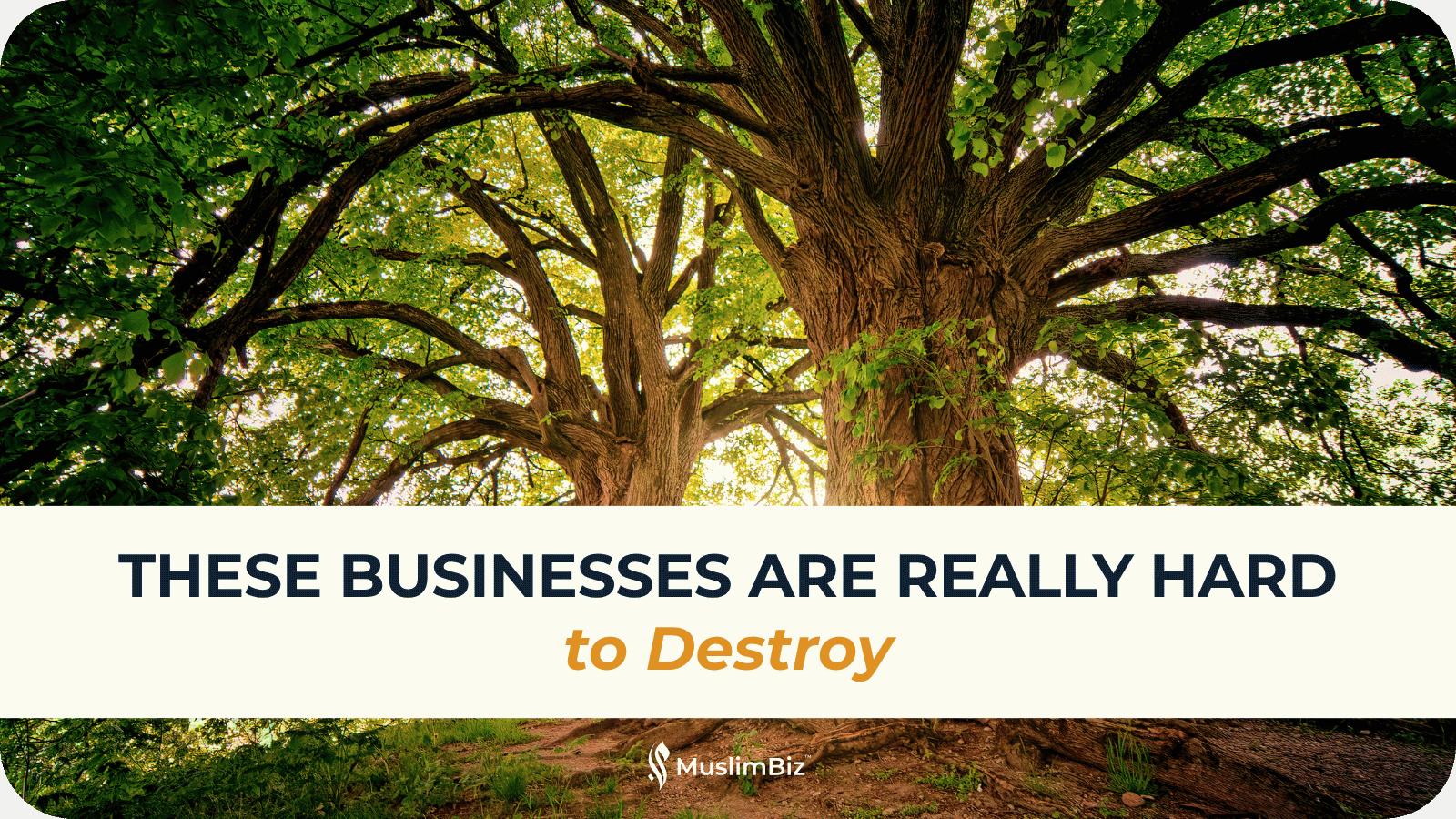These Businesses Are Really Hard to Destroy